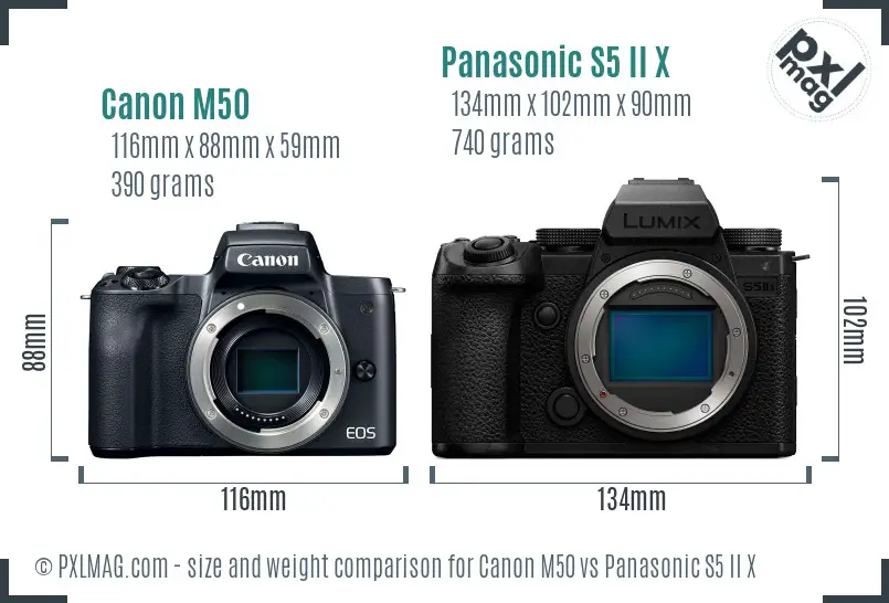 Canon M50 vs Panasonic S5 II X size comparison