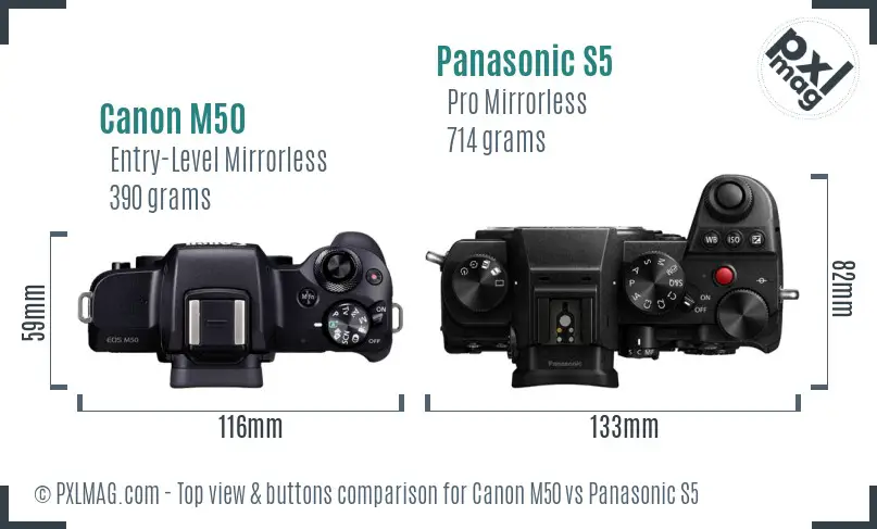 Canon M50 vs Panasonic S5 top view buttons comparison