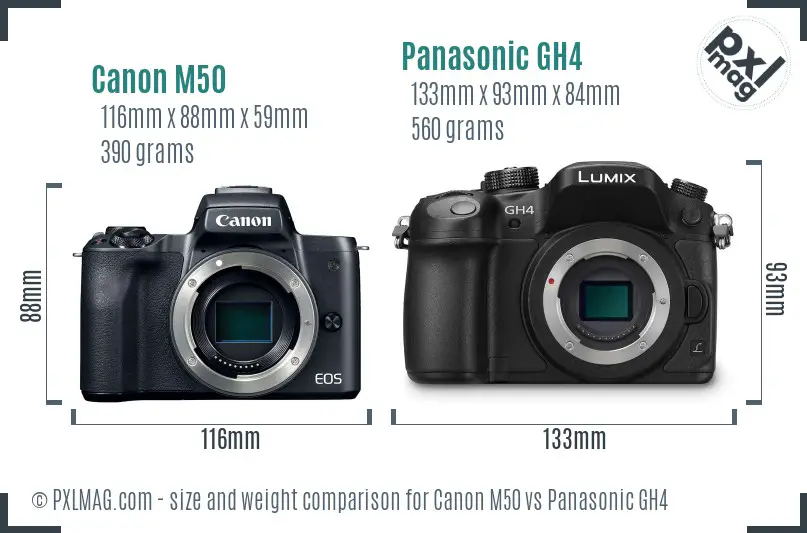 Canon M50 vs Panasonic GH4 size comparison