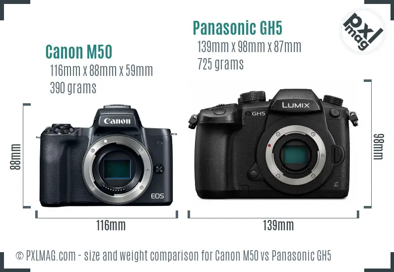 Canon M50 vs Panasonic GH5 size comparison