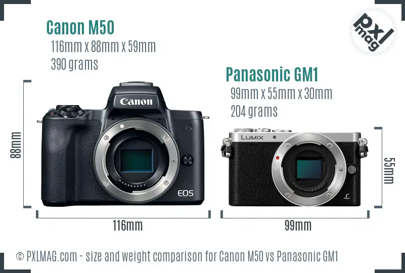 Canon M50 vs Panasonic GM1 size comparison