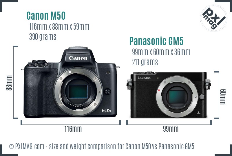 Canon M50 vs Panasonic GM5 size comparison Canon M50 vs Panasonic GM5 size comparison