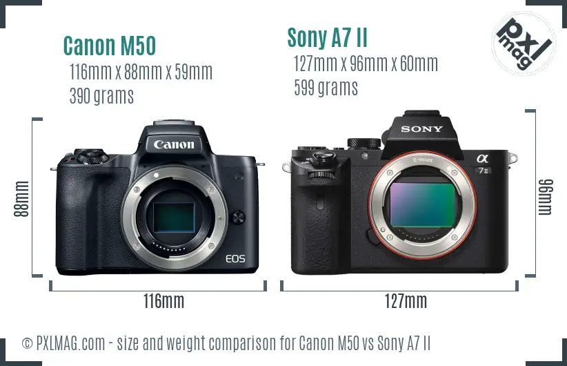 Canon M50 vs Sony A7 II size comparison