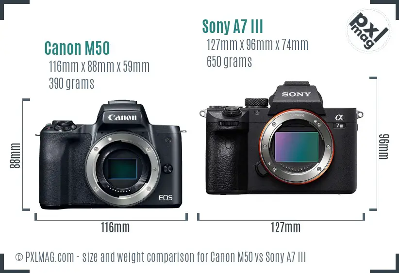 Canon M50 vs Sony A7 III size comparison