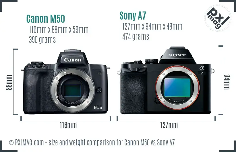 Canon M50 vs Sony A7 size comparison