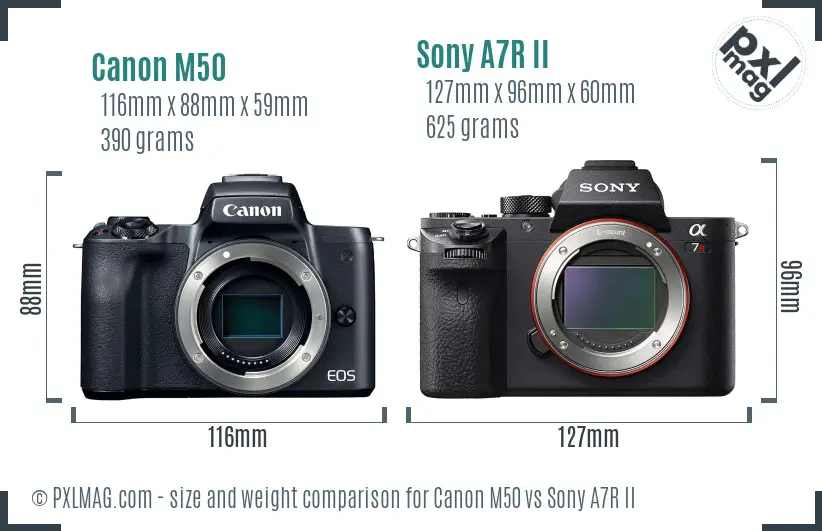 Canon M50 vs Sony A7R II size comparison