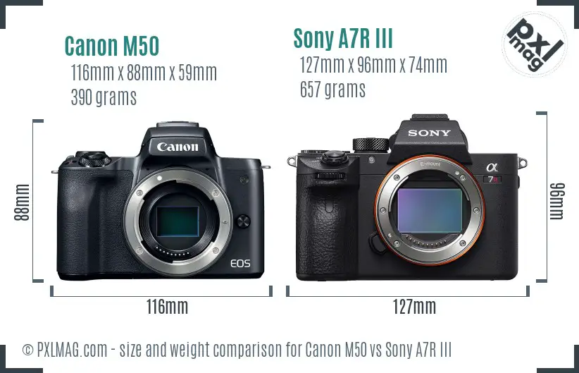 Canon M50 vs Sony A7R III size comparison