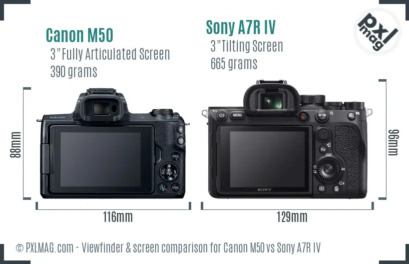 Canon M50 vs Sony A7R IV Screen and Viewfinder comparison
