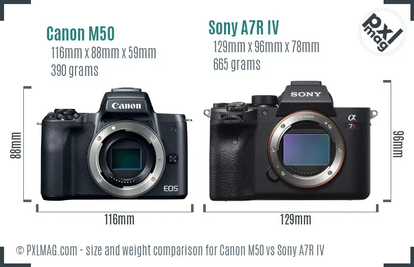 Canon M50 vs Sony A7R IV size comparison