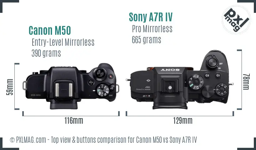 Canon M50 vs Sony A7R IV top view buttons comparison