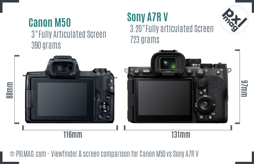 Canon M50 vs Sony A7R V Screen and Viewfinder comparison