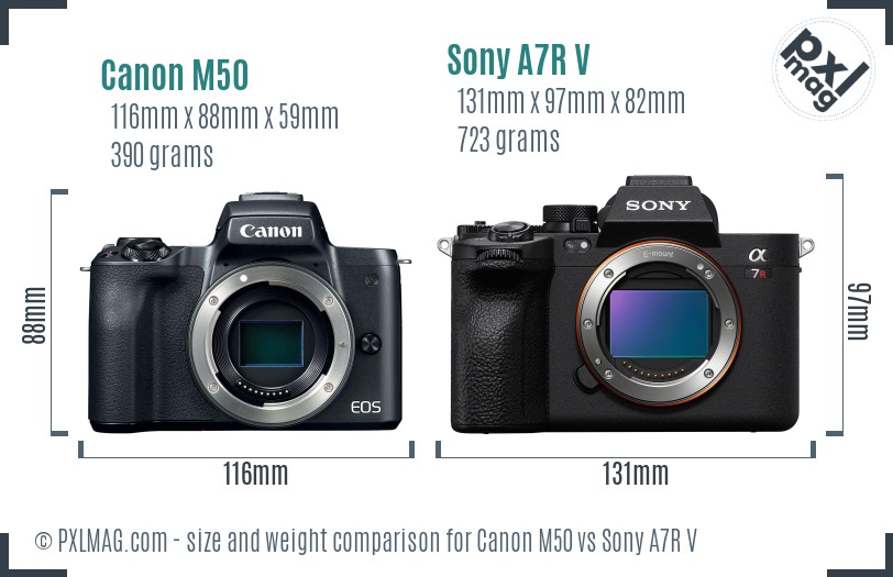 Canon M50 vs Sony A7R V size comparison