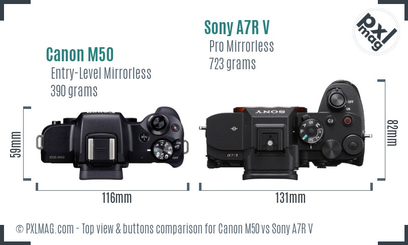 Canon M50 vs Sony A7R V top view buttons comparison