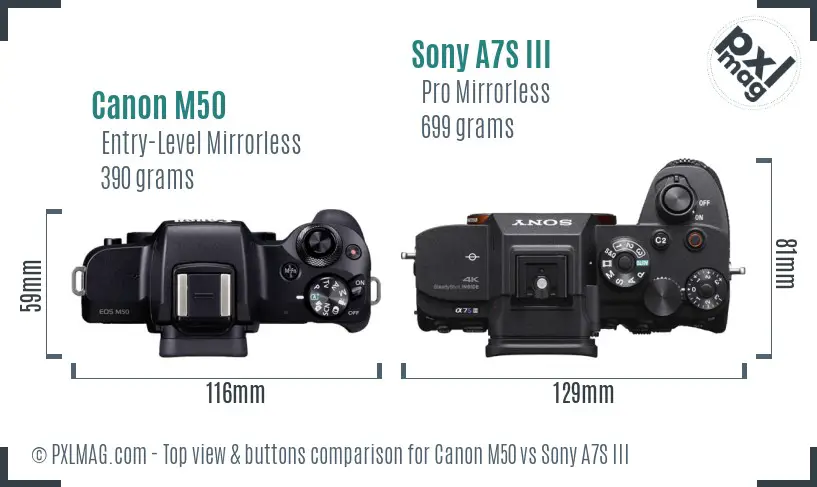 Canon M50 vs Sony A7S III top view buttons comparison