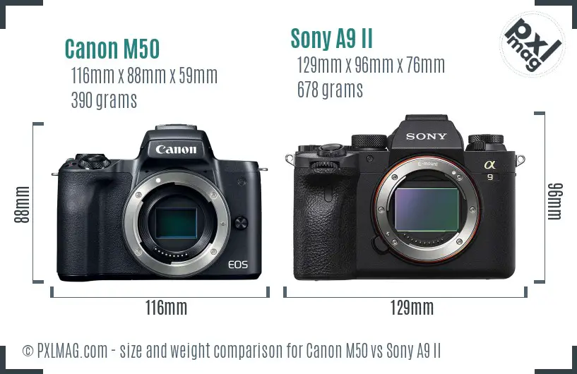 Canon M50 vs Sony A9 II size comparison
