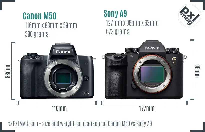 Canon M50 vs Sony A9 size comparison