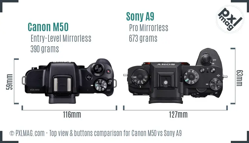 Canon M50 vs Sony A9 top view buttons comparison