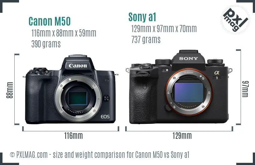 Canon M50 vs Sony a1 size comparison