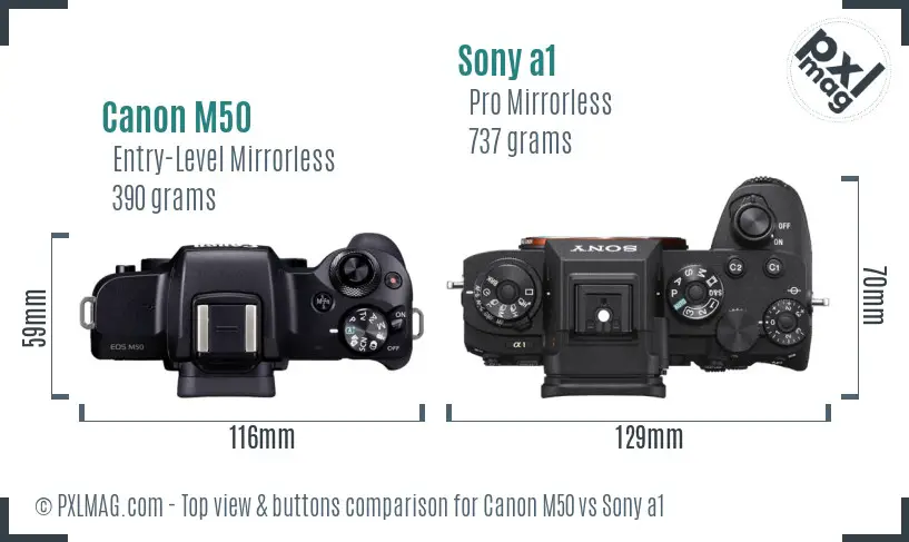 Canon M50 vs Sony a1 top view buttons comparison