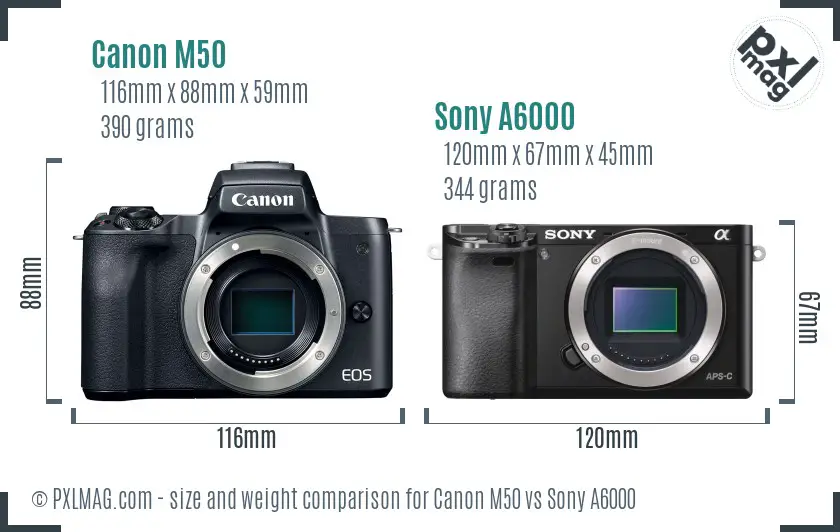 Canon M50 vs Sony A6000 size comparison