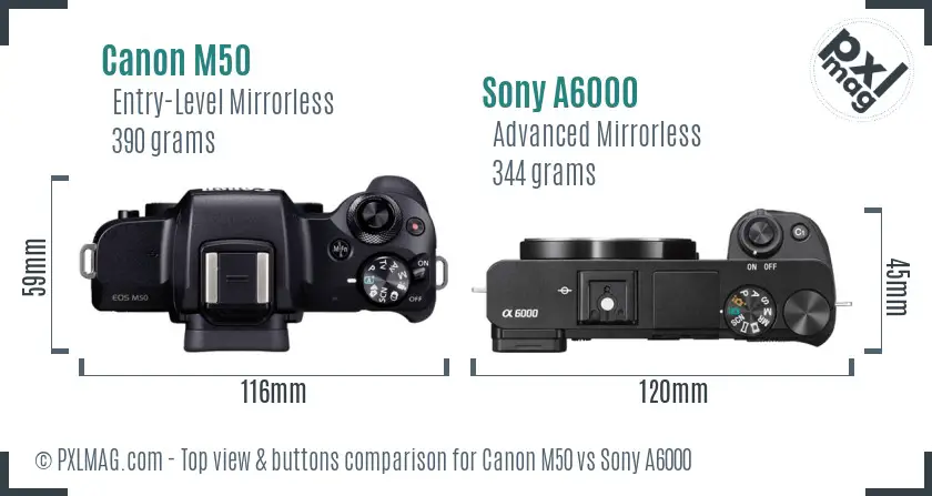 Canon M50 vs Sony A6000 top view buttons comparison