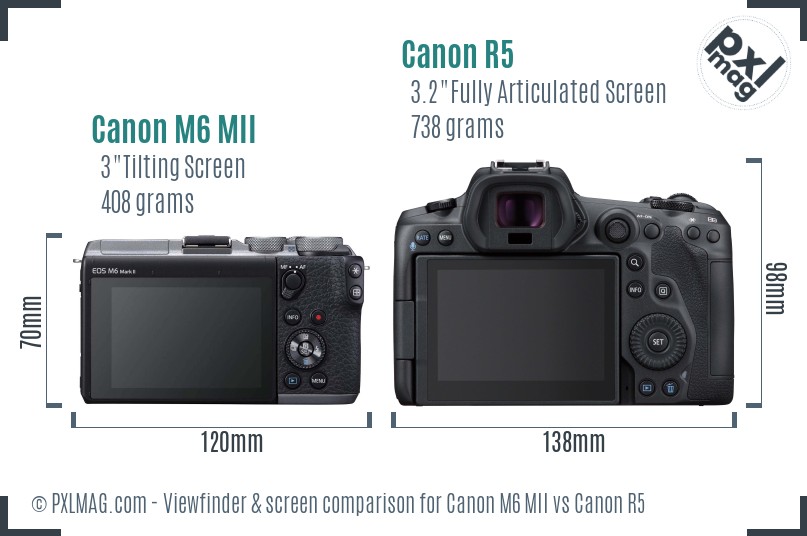Canon M6 MII vs Canon R5 Screen and Viewfinder comparison