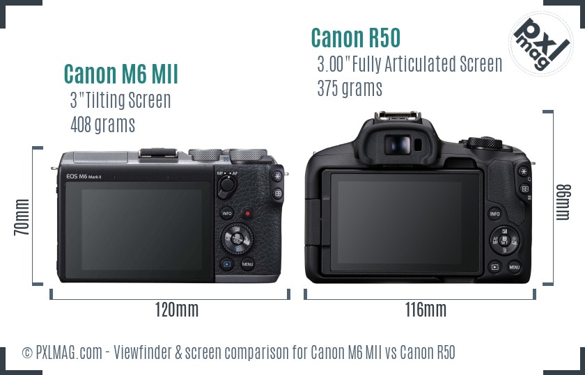 Canon M6 MII vs Canon R50 Screen and Viewfinder comparison