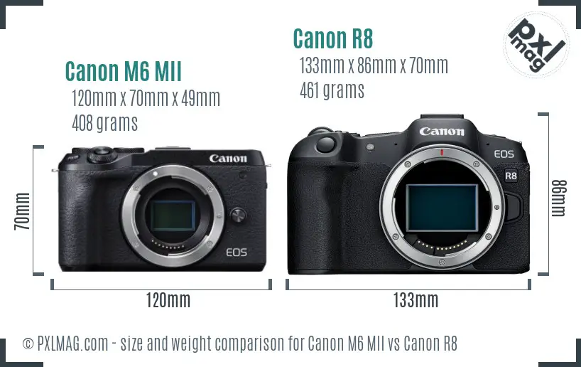 Canon M6 MII vs Canon R8 size comparison
