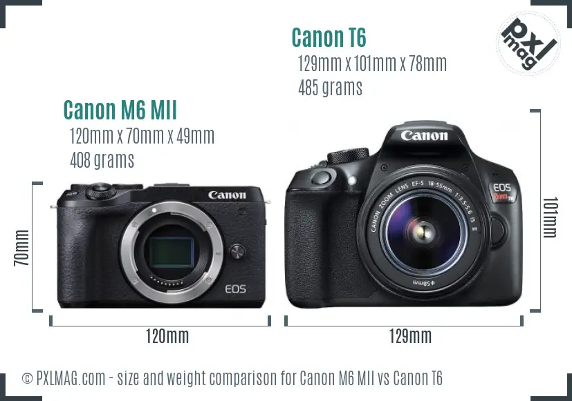 Canon M6 MII vs Canon T6 size comparison