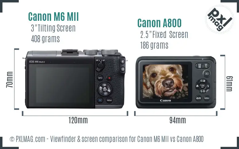 Canon M6 MII vs Canon A800 Screen and Viewfinder comparison