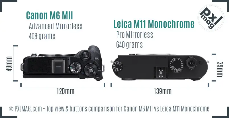 Canon M6 MII vs Leica M11 Monochrome top view buttons comparison Canon M6 MII vs Leica M11 Monochrome top view buttons comparison
