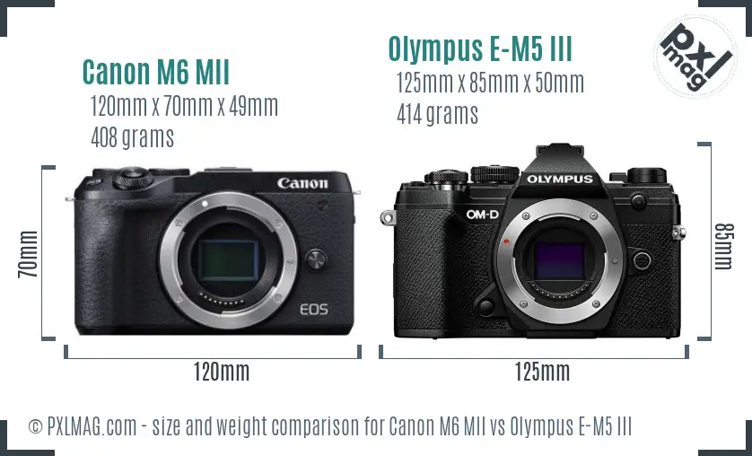 Canon M6 MII vs Olympus E-M5 III size comparison