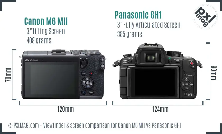 Canon M6 MII vs Panasonic GH1 Screen and Viewfinder comparison