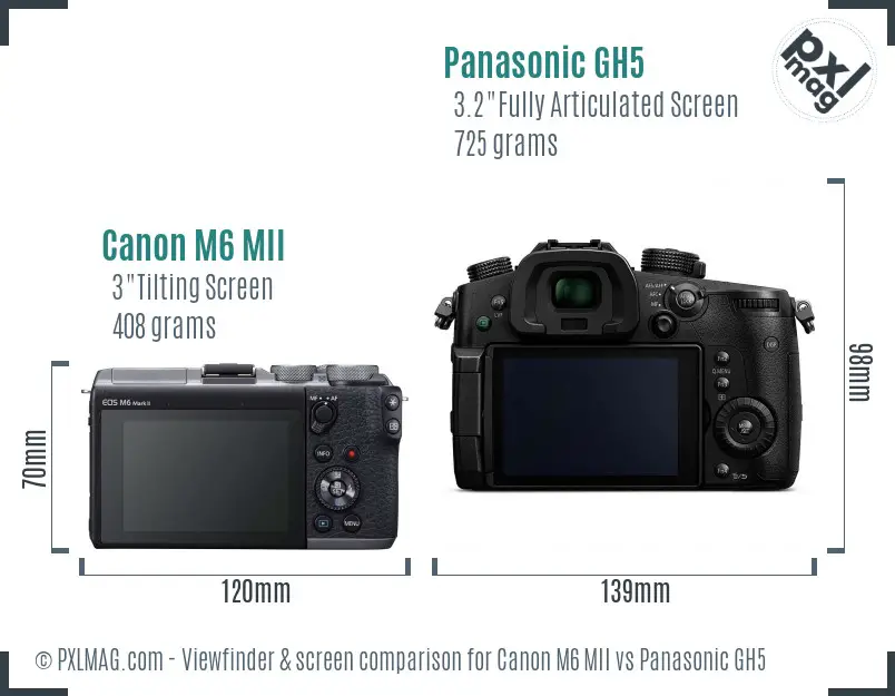Canon M6 MII vs Panasonic GH5 Screen and Viewfinder comparison Canon M6 MII vs Panasonic GH5 Screen and Viewfinder comparison