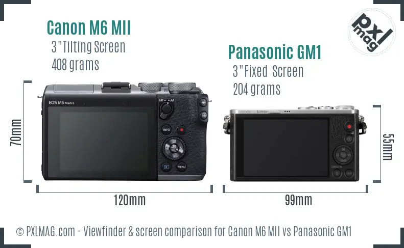 Canon M6 MII vs Panasonic GM1 Screen and Viewfinder comparison