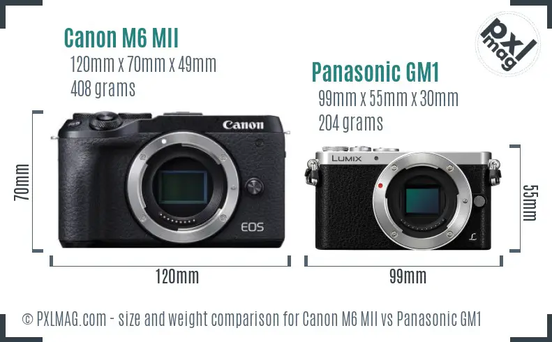 Canon M6 MII vs Panasonic GM1 size comparison