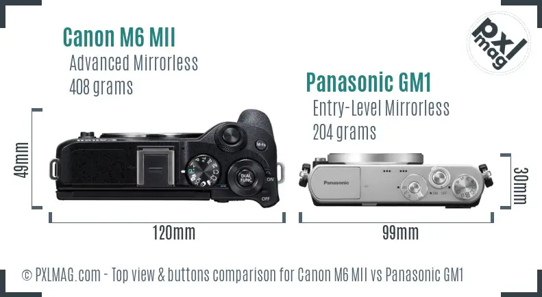 Canon M6 MII vs Panasonic GM1 top view buttons comparison