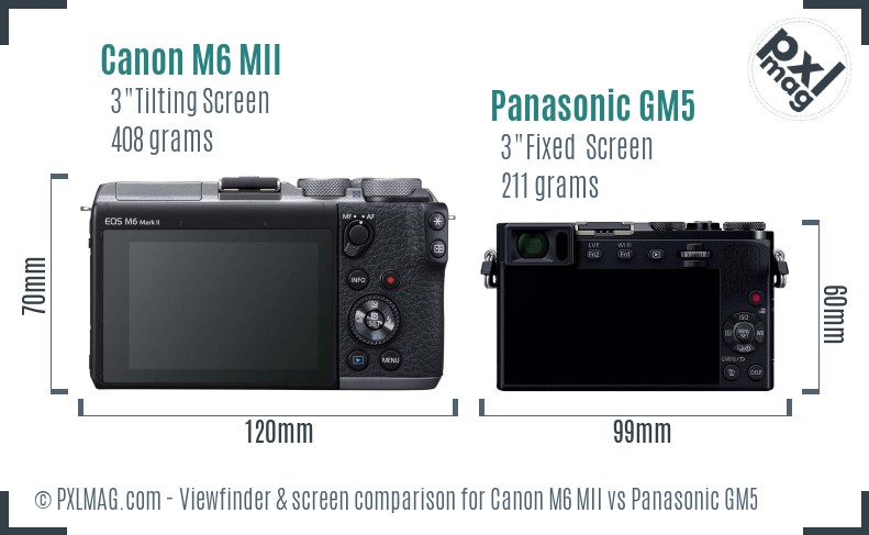 Canon M6 MII vs Panasonic GM5 Screen and Viewfinder comparison