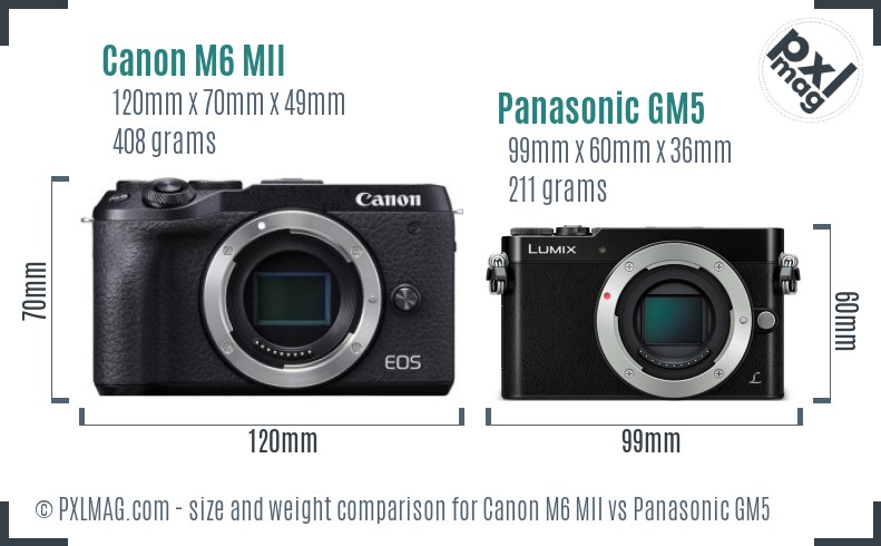 Canon M6 MII vs Panasonic GM5 size comparison Canon M6 MII vs Panasonic GM5 size comparison