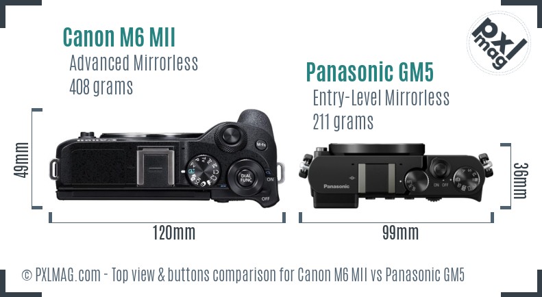 Canon M6 MII vs Panasonic GM5 top view buttons comparison