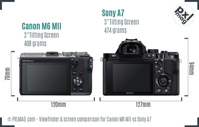 Canon M6 MII vs Sony A7 Screen and Viewfinder comparison