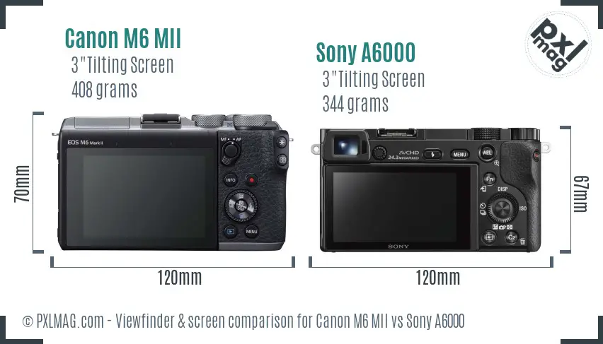 Canon M6 MII vs Sony A6000 Screen and Viewfinder comparison