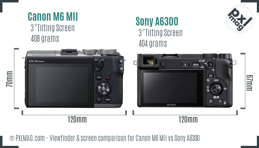 Canon M6 MII vs Sony A6300 Screen and Viewfinder comparison