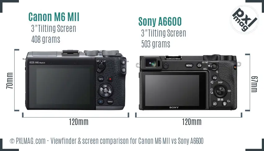Canon M6 MII vs Sony A6600 Screen and Viewfinder comparison