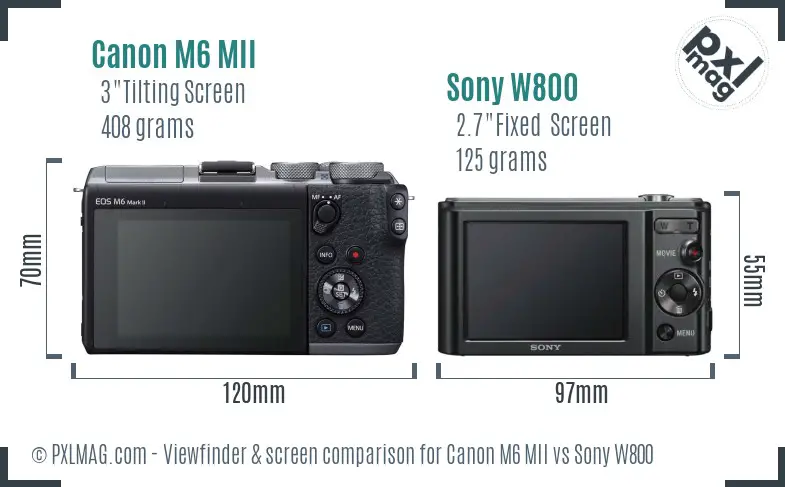 Canon M6 MII vs Sony W800 Screen and Viewfinder comparison