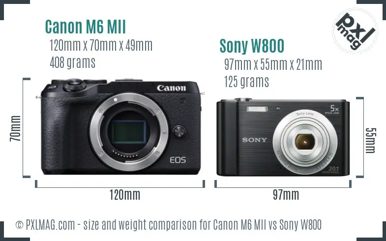 Canon M6 MII vs Sony W800 size comparison