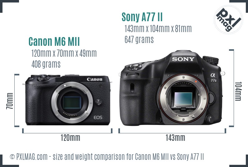 Canon M6 MII vs Sony A77 II size comparison