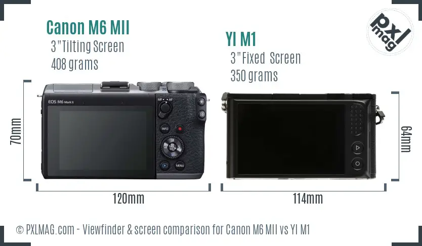 Canon M6 MII vs YI M1 Screen and Viewfinder comparison