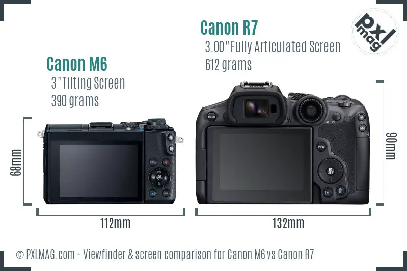 Canon M6 vs Canon R7 Screen and Viewfinder comparison