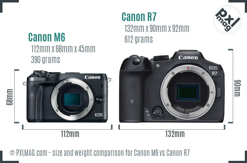 Canon M6 vs Canon R7 size comparison